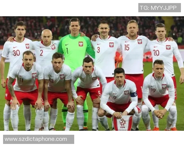 乌克兰足球明星阵亡名单揭示战争对体育界的深刻影响与悲痛回忆