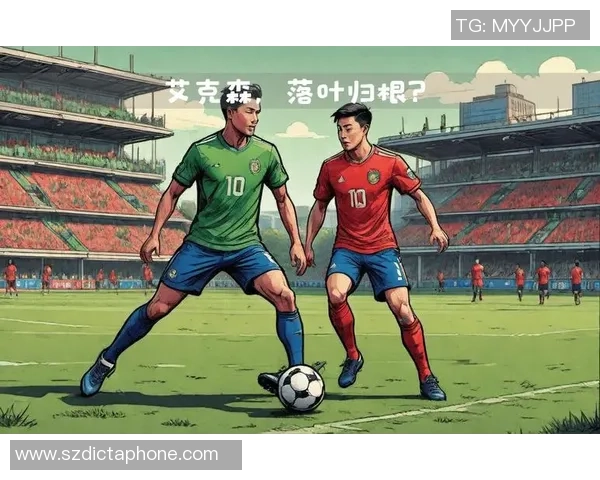 成都足球明星盘点那些在绿茵场上闪耀的本土英雄与外援巨星