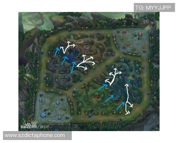 杭州排球队整体压制打法深度解析与战术优势剖析