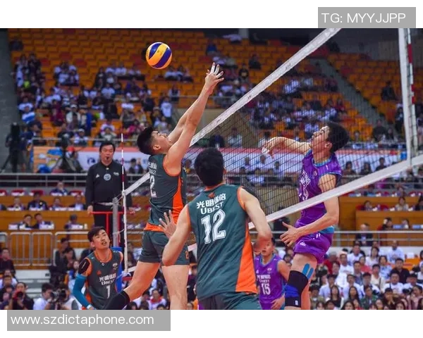 深圳排球队在城市联赛中以84分稳居榜首展现强劲实力